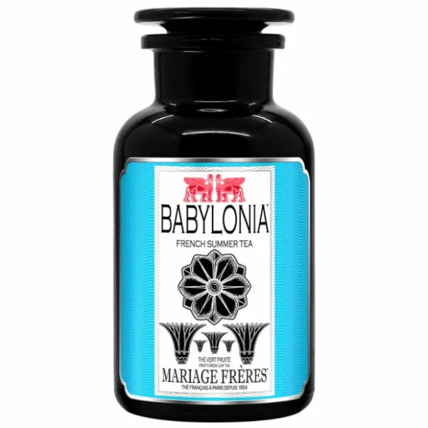 Hot BABYLONIA Thé Vert | Thé Glacé