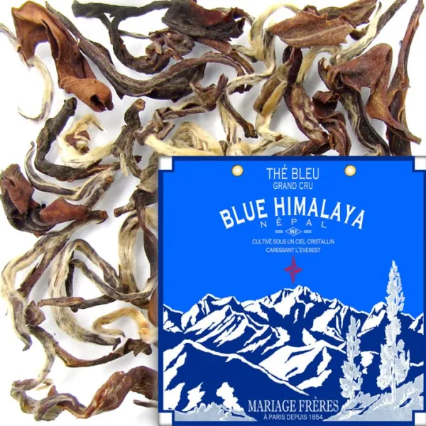 Store BLUE HIMALAYA Thé Bleu | Nature