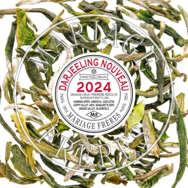 Shop CASTLETON Darjeeling | Himalaya - Darjeeling