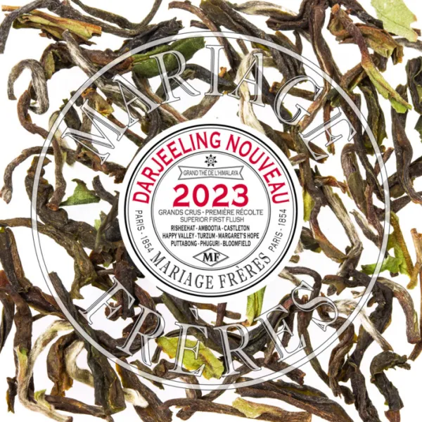 Fashion CHONGTONG Darjeeling Nouveau