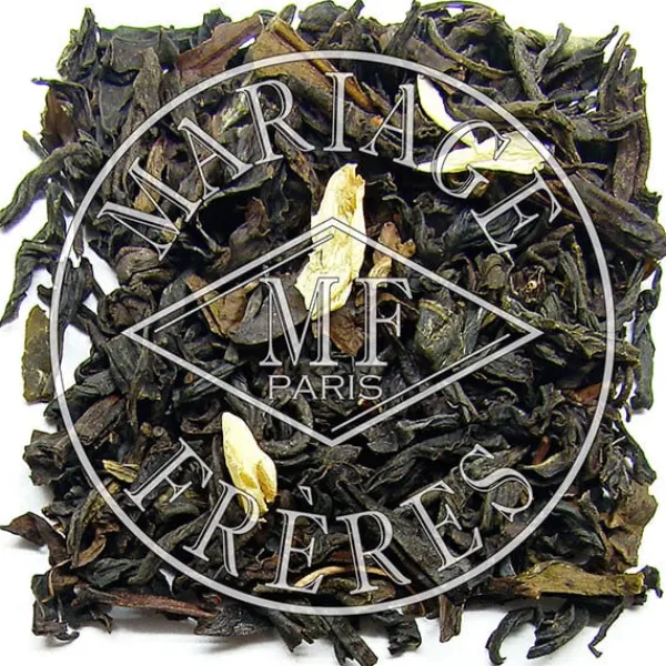 Hot CONFUCIUS Thé Vert | Soir
