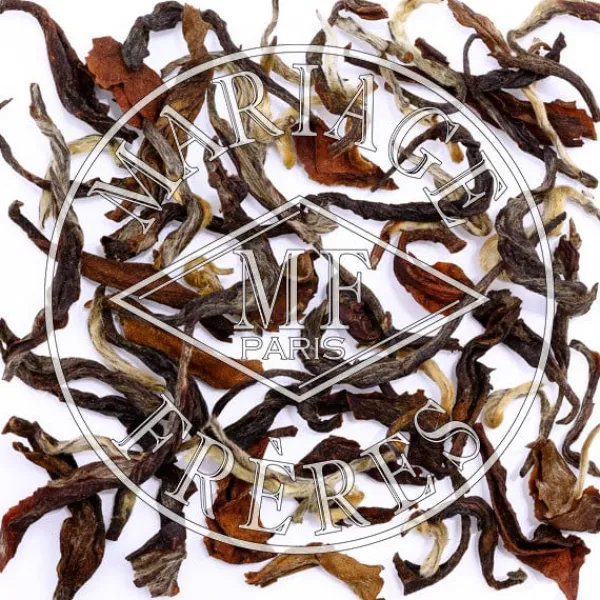 Best DARJEELING OOLONG DRAGON Darjeeling | Himalaya - Darjeeling