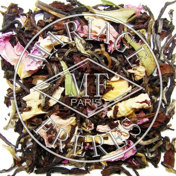 Clearance DARJEELING ROSE CAMu00c9LIAu2122 Darjeeling | Himalaya - Darjeeling