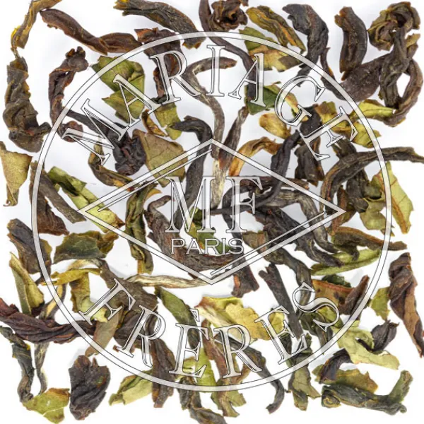 New HIMALAYAN PEACH Darjeeling | Himalaya - Darjeeling