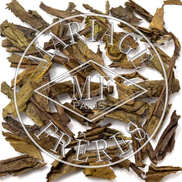 Online HOJICHA Thé Vert | Nature