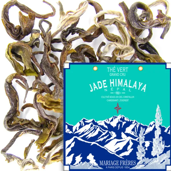 Store JADE HIMALAYAu2122 Thé Vert | Nature