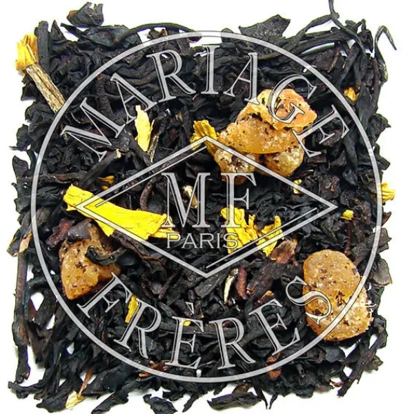 Fashion MANGUE AMAZONE Thé Noir | Thé Singulier