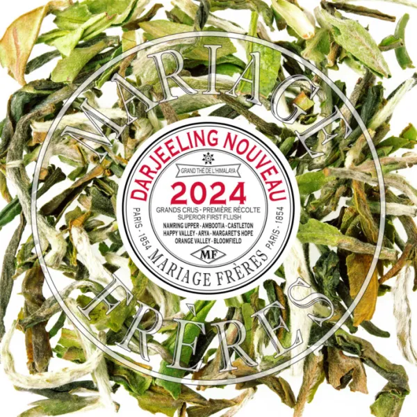 Discount NAMRING Darjeeling | Himalaya - Darjeeling