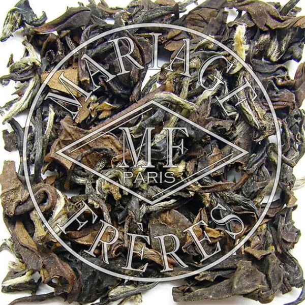Hot OOLONG FANCY Thé Bleu | Nature