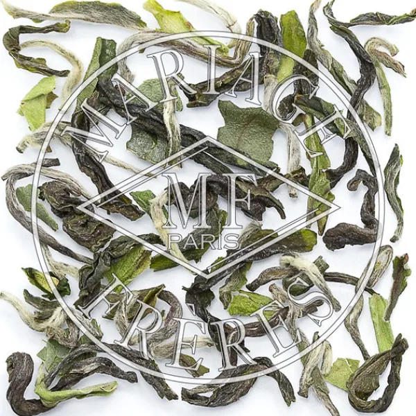Best Sale PUTTABONG SUPRu00caMEu2122 Darjeeling | Himalaya - Darjeeling
