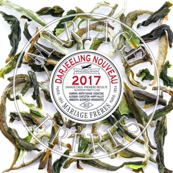 Store SIVITAR Darjeeling | Himalaya - Darjeeling