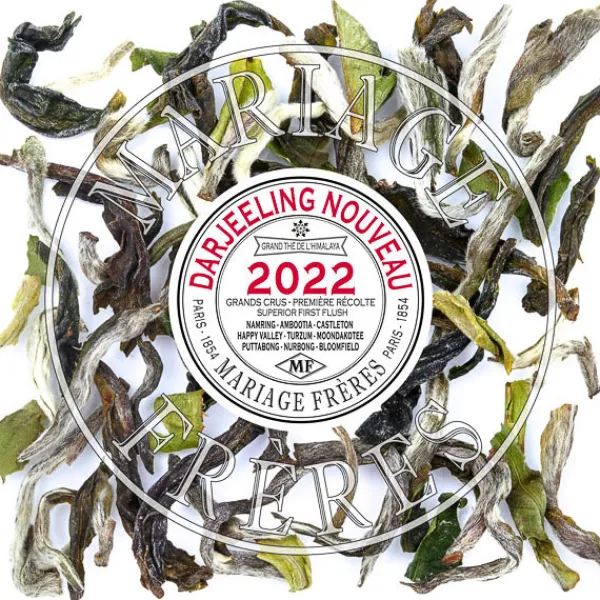 Best TURZUM BLISS Darjeeling | Himalaya - Darjeeling